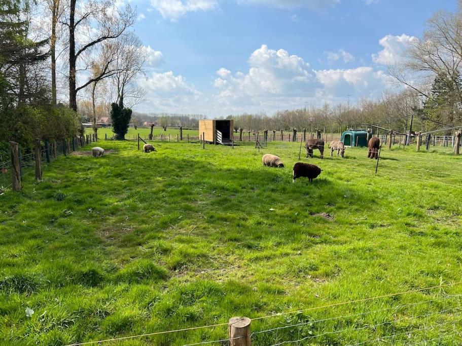 Hoeve Hooierzele Waasmunster Exterior photo